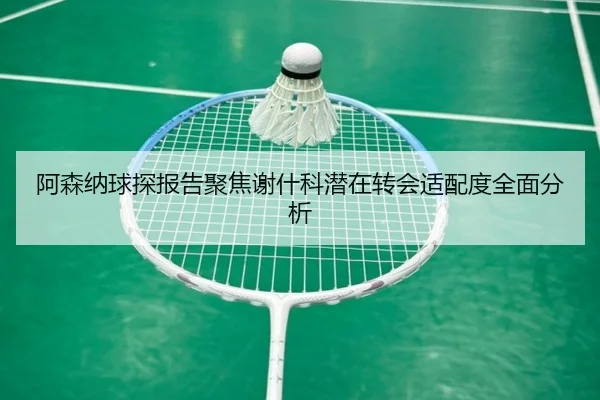阿森纳球探报告聚焦谢什科潜在转会适配度全面分析